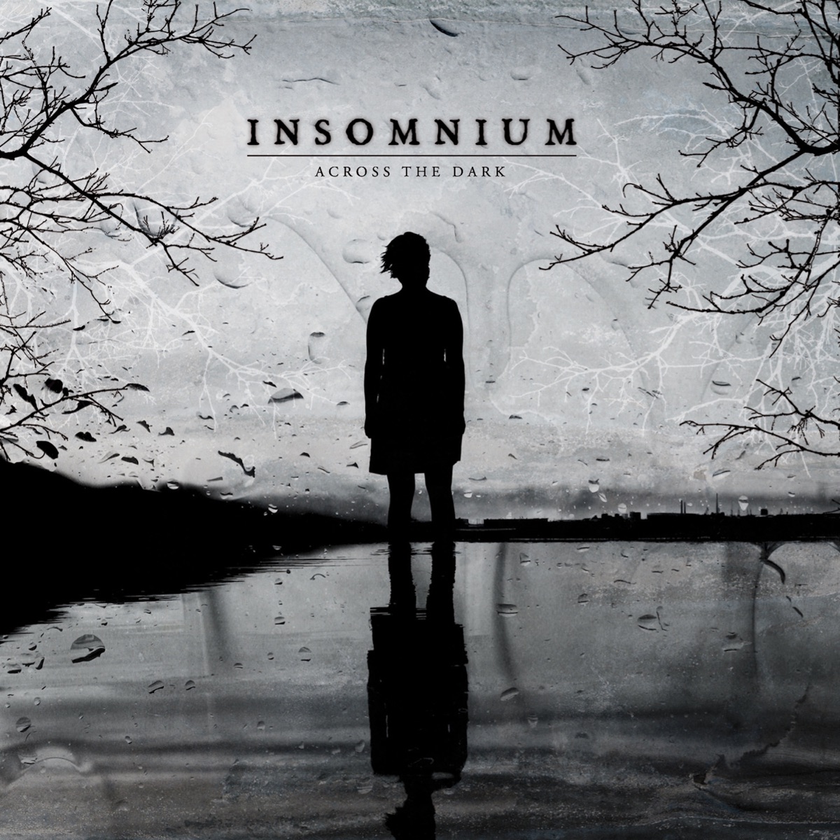 Album cover for Across the Dark by Insomnium