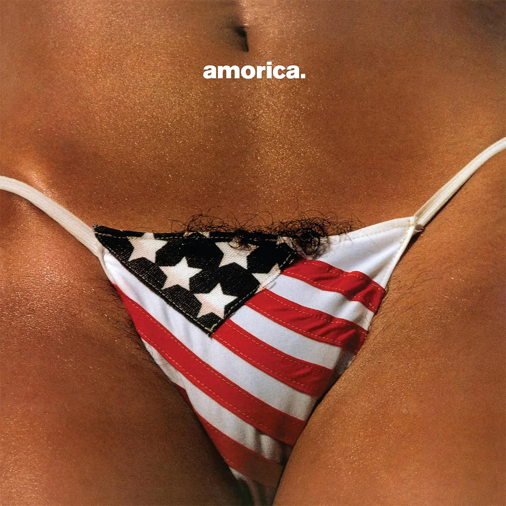 Album cover for amorica. by The Black Crowes