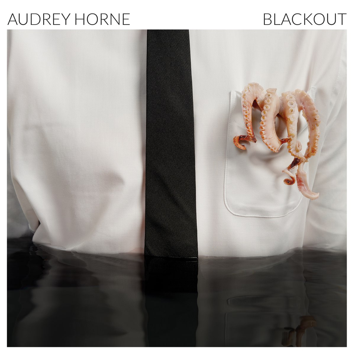 Album cover for Blackout by Audrey Horne