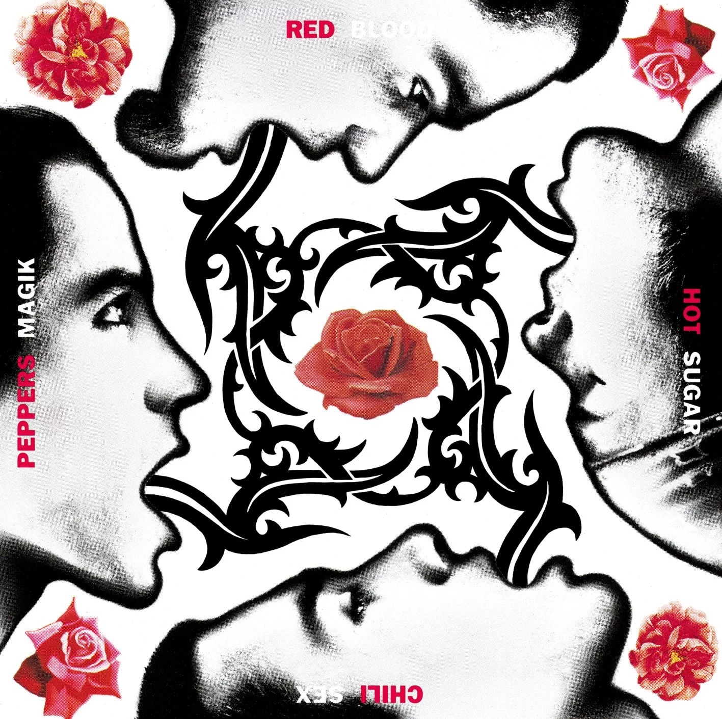 Album cover for Blood Sugar Sex Magik by Red Hot Chili Peppers