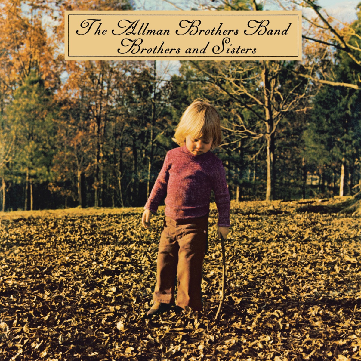 Album cover for Brothers and Sisters by The Allman Brothers Band