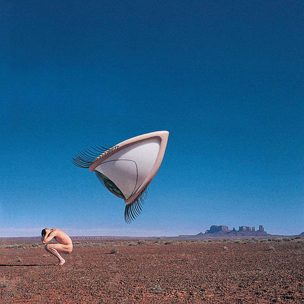Album cover for Bury the Hatchet by The Cranberries