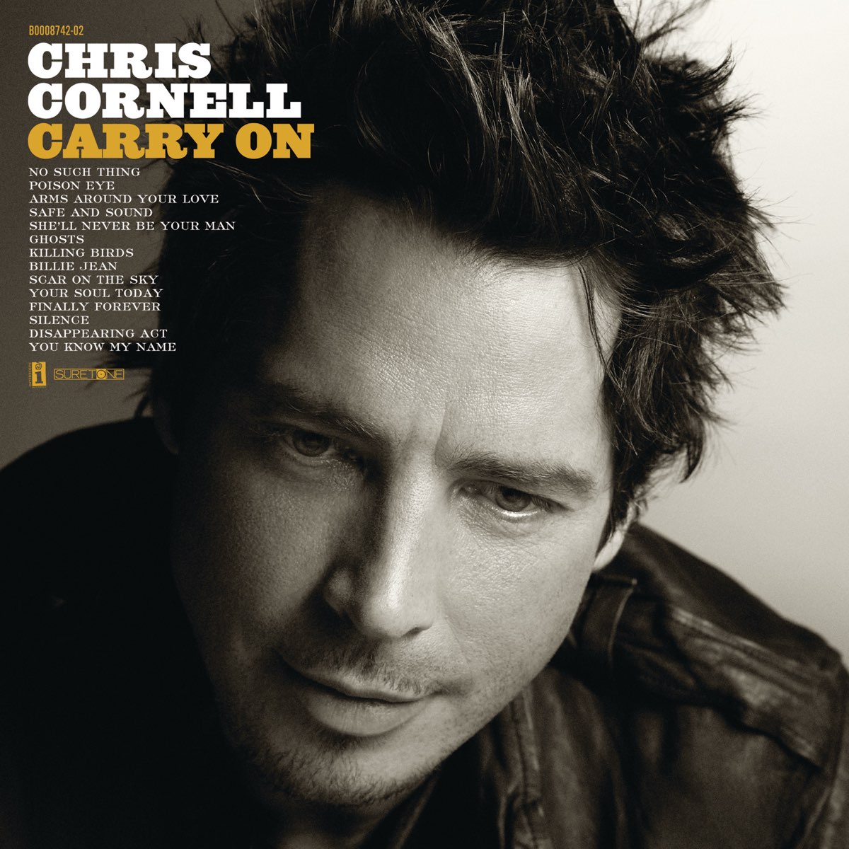 Album cover for Carry on by Chris Cornell