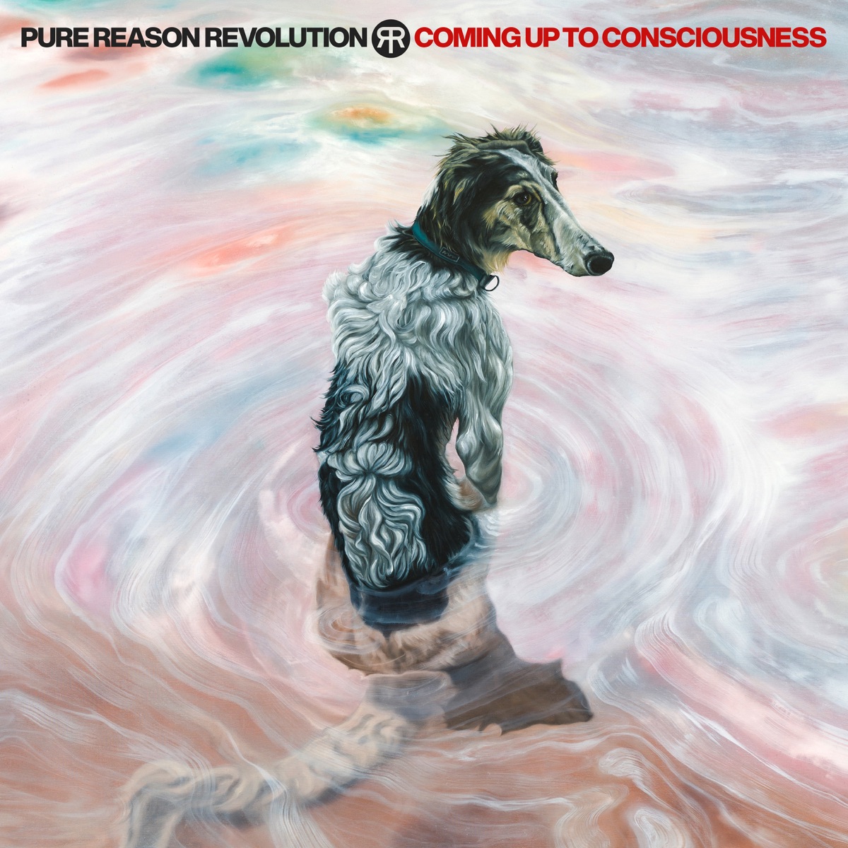 Album cover for Coming up to Consciousness by Pure Reason Revolution