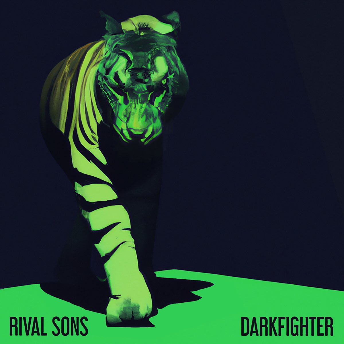 Album cover for Darkfighter by Rival Sons