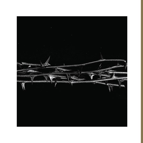 Album cover for De Doorn by Amenra