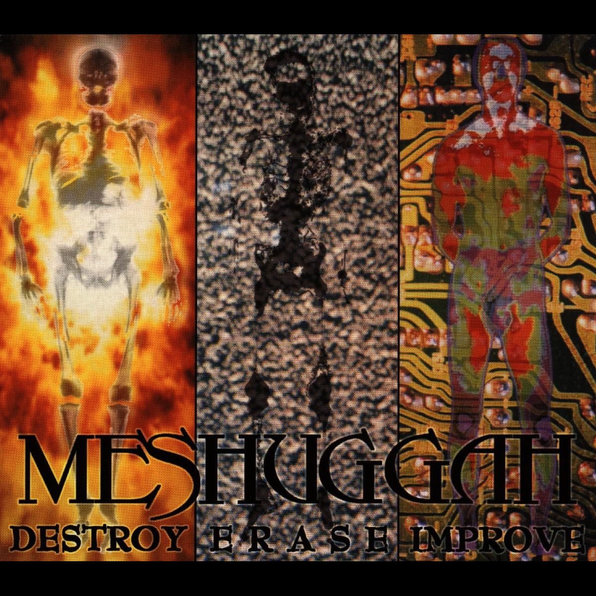 Album cover for Destroy Erase Improve by Meshuggah