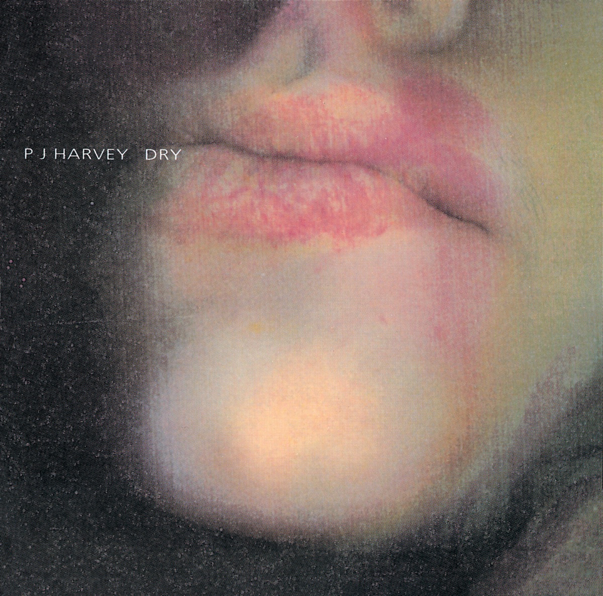 Album cover for Dry by PJ Harvey