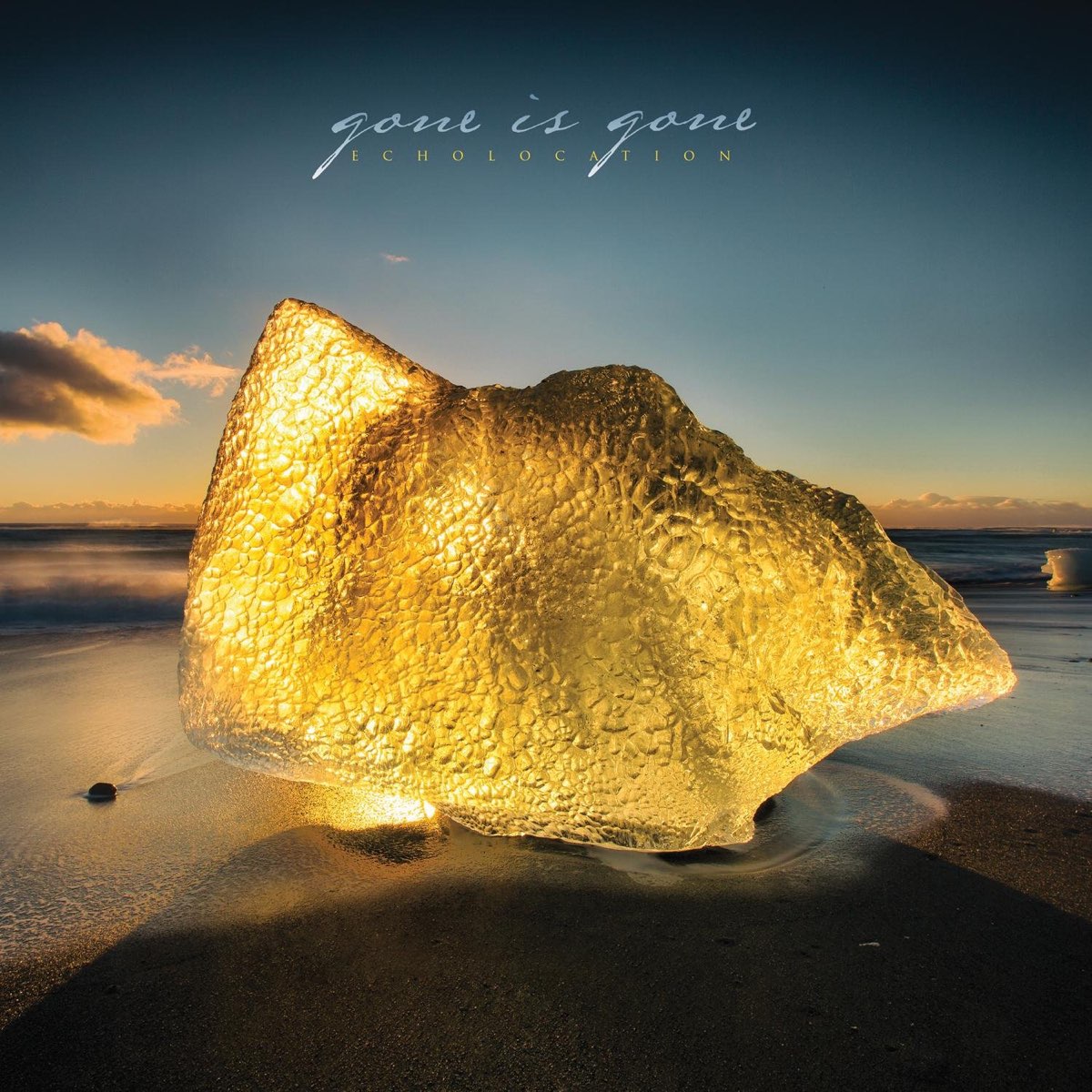 Album cover for Echolocation by Gone Is Gone