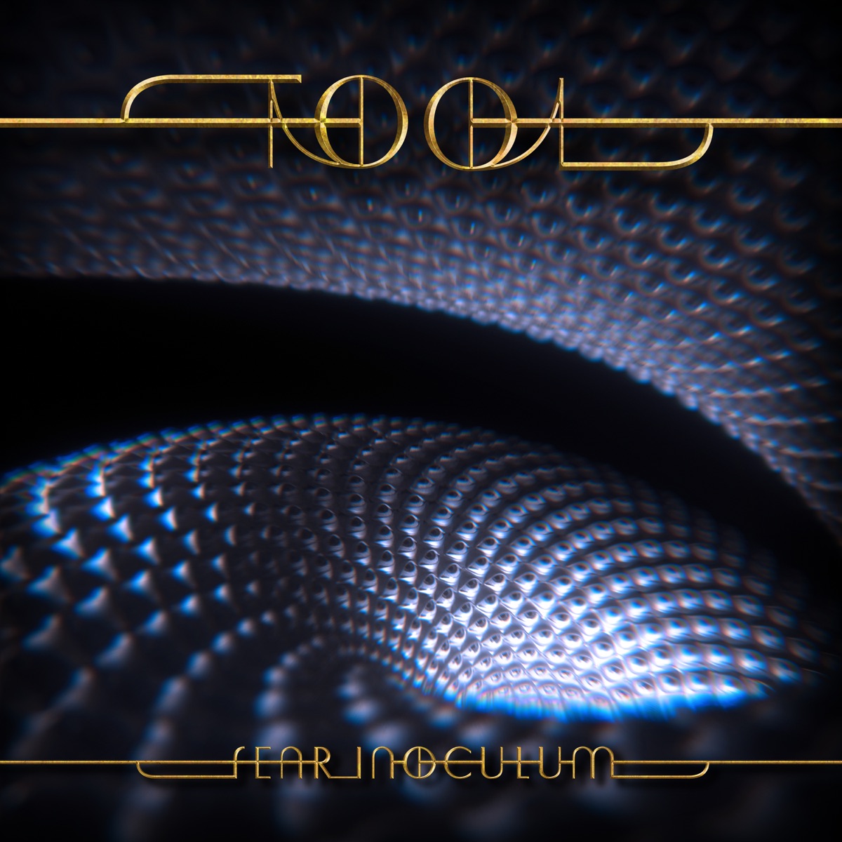 Album cover for Fear Inoculum by Tool