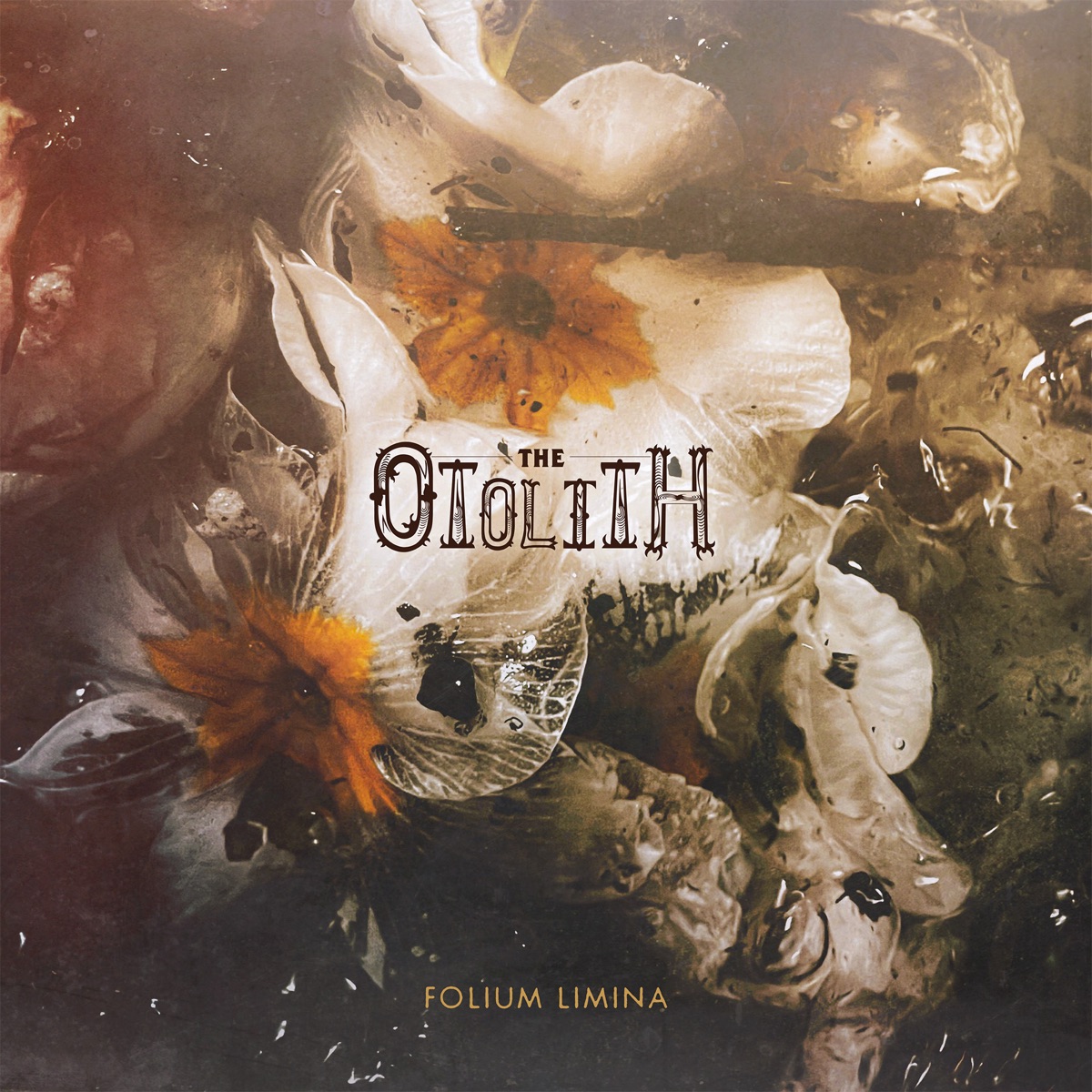 Album cover for Folium Limina by The Otolith