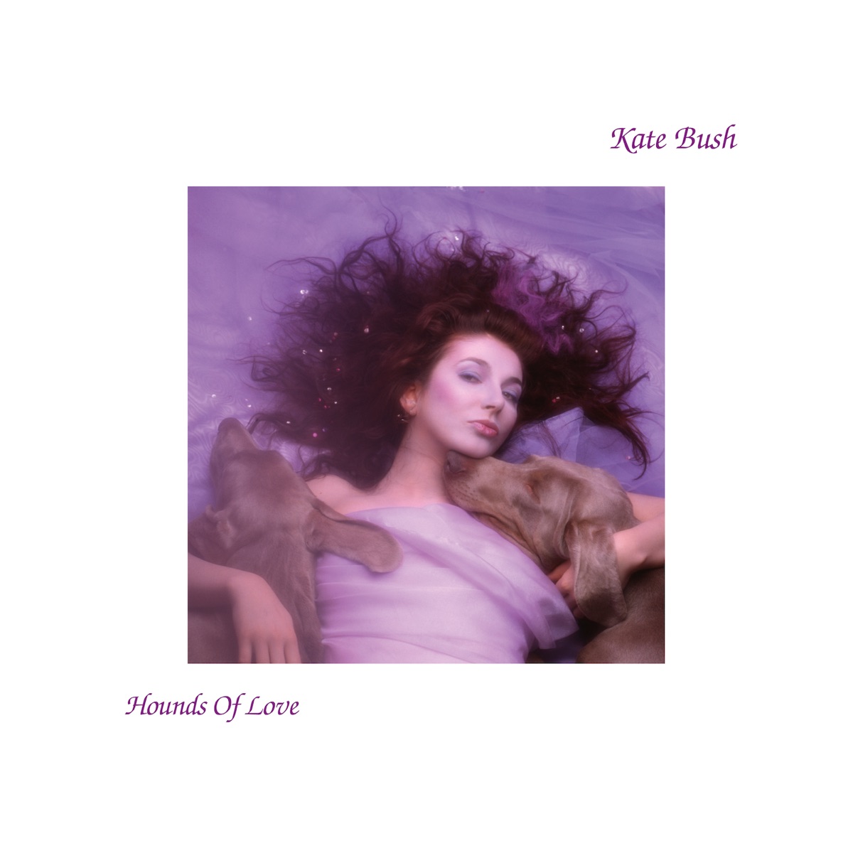 Album cover for Hounds of Love by Kate Bush