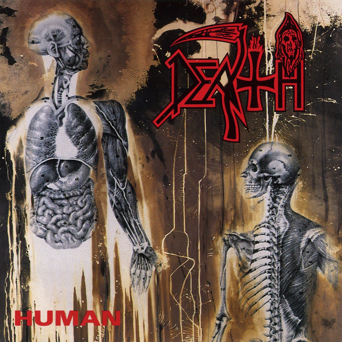 Album cover for Human by Death