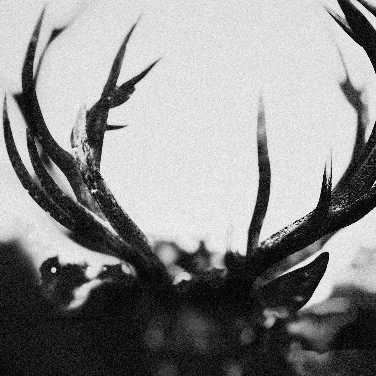 Album cover for Ihsahn by Ihsahn