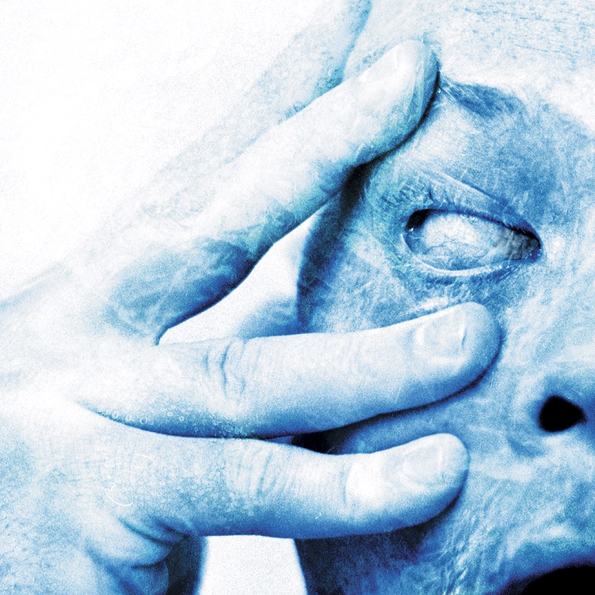 Album cover for In Absentia by Porcupine Tree
