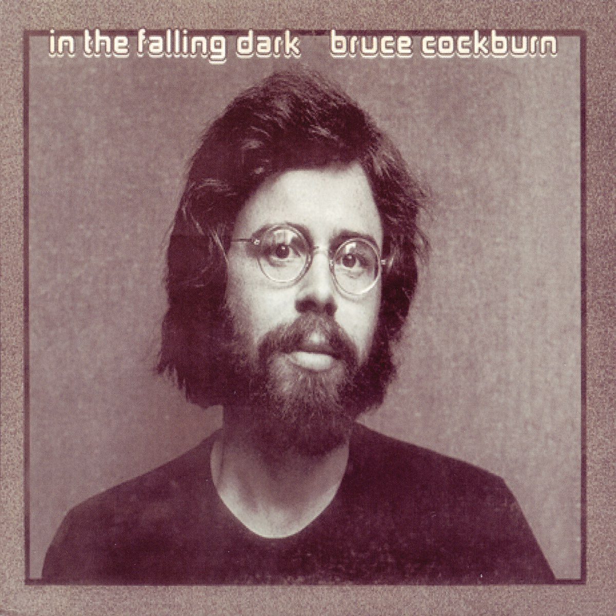 Album cover for In the Falling Dark by Bruce Cockburn
