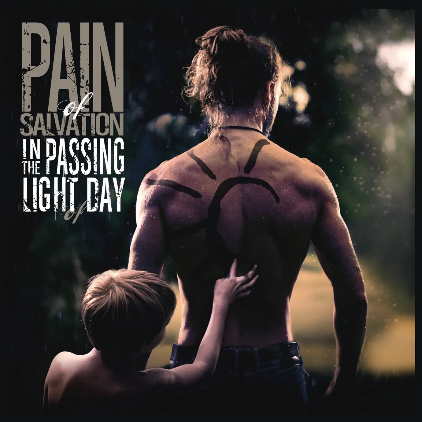 Album cover for In the Passing Light of Day by Pain of Salvation