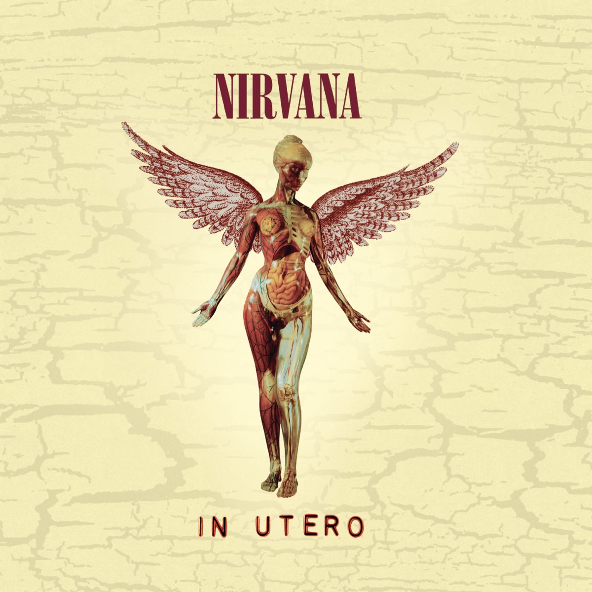 Album cover for In Utero by Nirvana