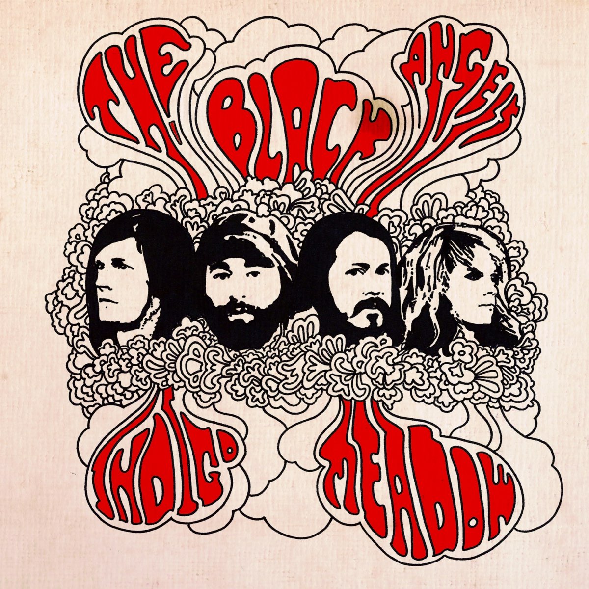 Album cover for Indigo Meadow by The Black Angels