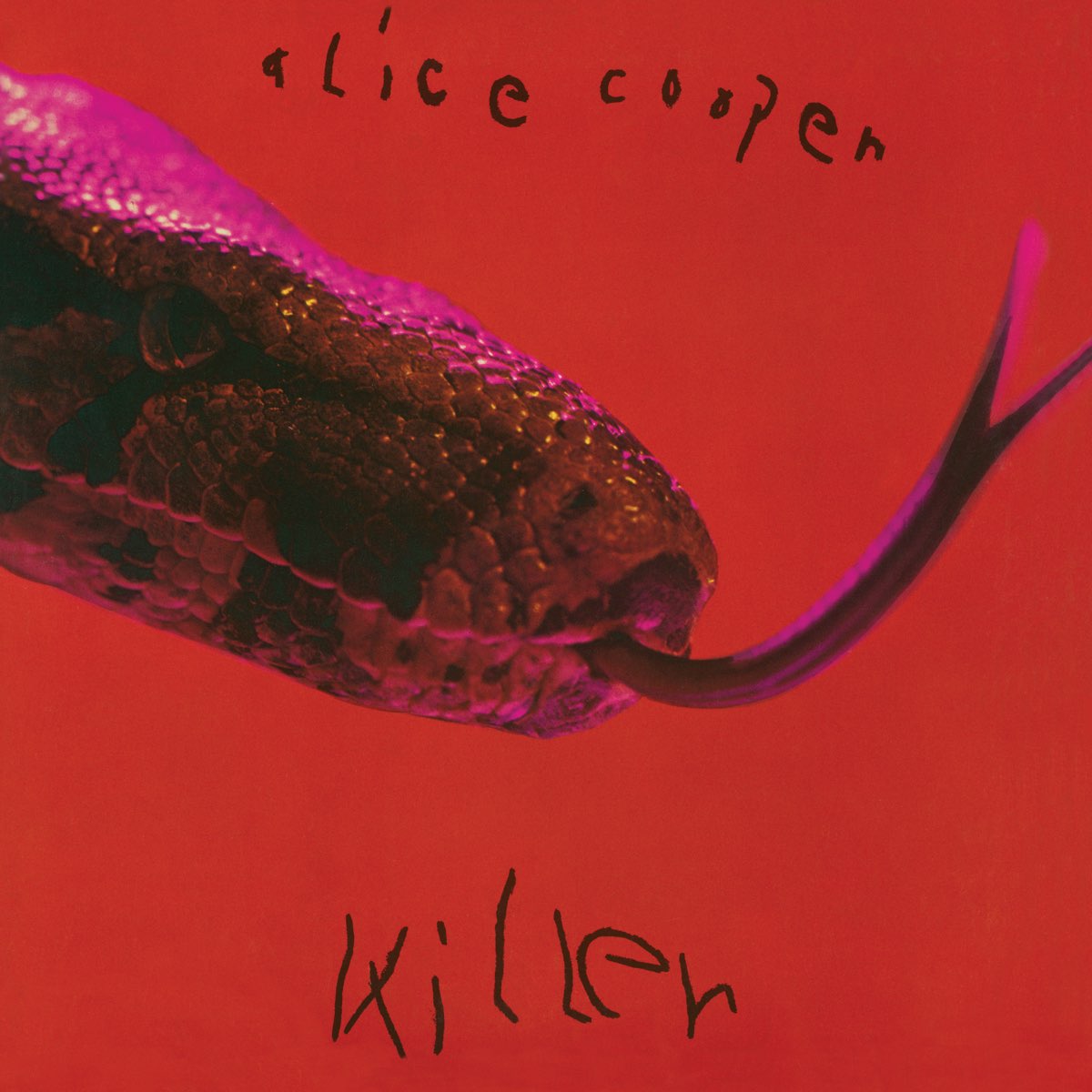 Album cover for Killer by Alice Cooper