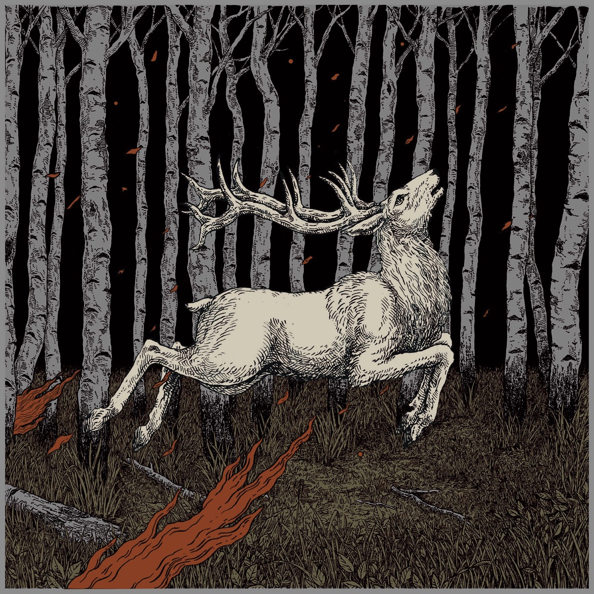 Album cover for Ladoga by Olhava