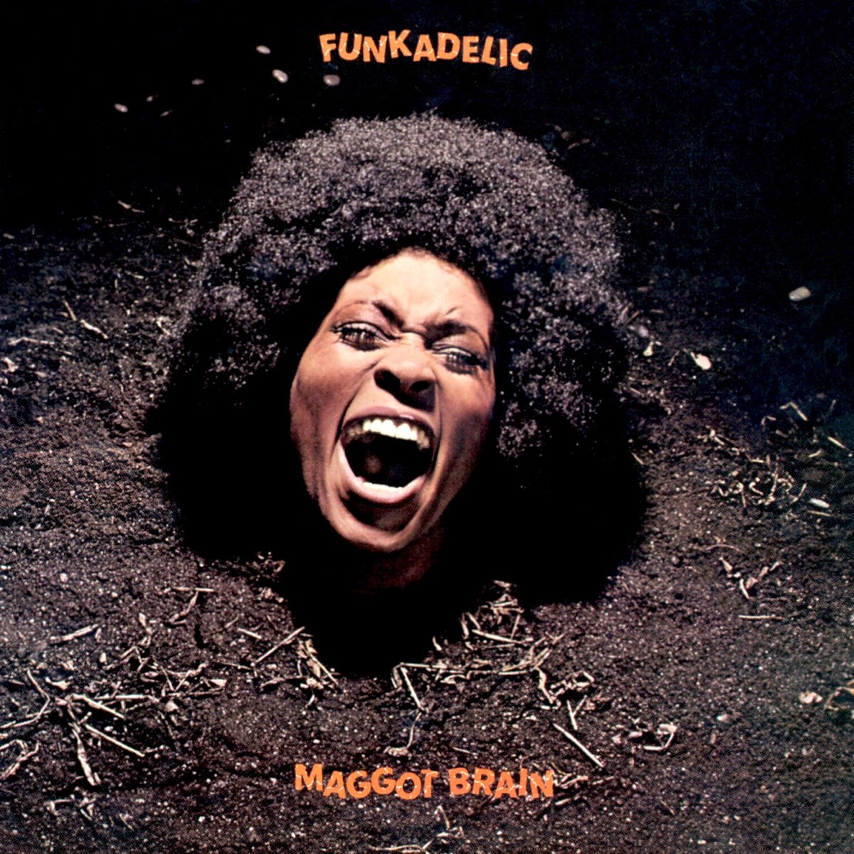Album cover for Maggot Brain by Funkadelic
