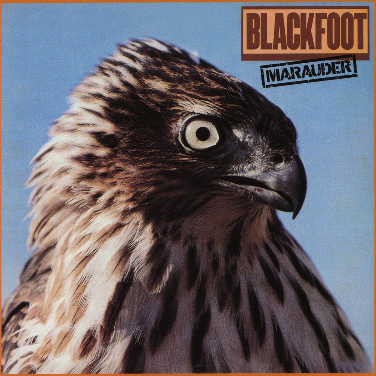Album cover for Marauder by Blackfoot