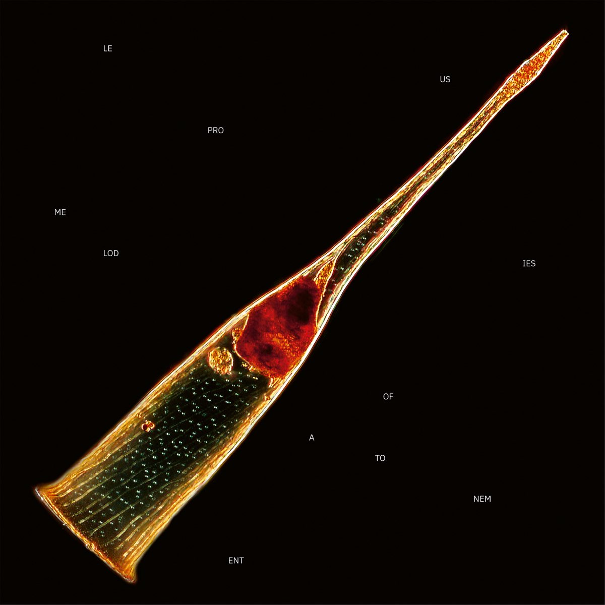 Album cover for Melodies of Atonement by Leprous