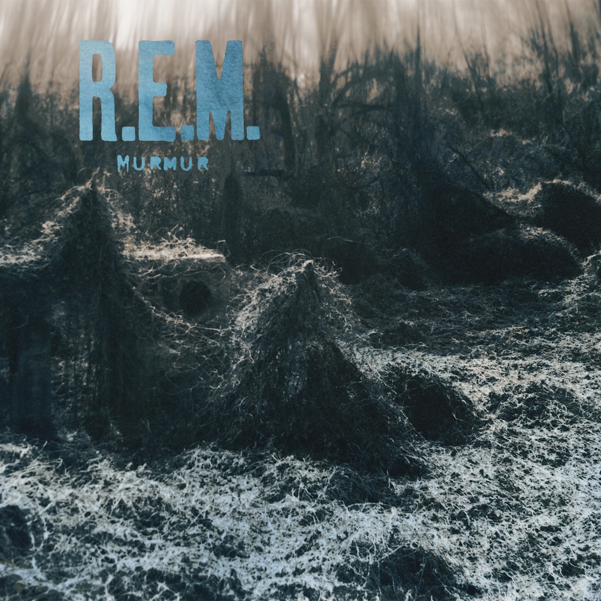 Album cover for Murmur by R.E.M.