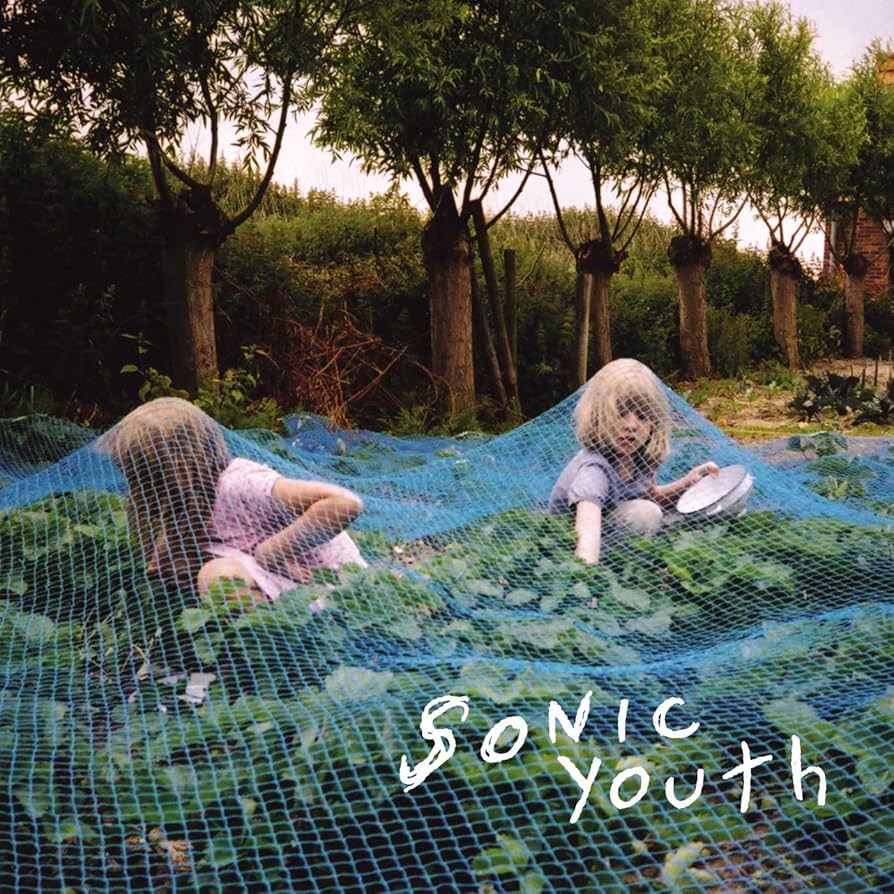 Album cover for Murray Street by Sonic Youth