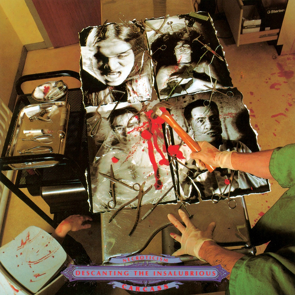 Album cover for Necroticism — Descanting the Insalubrious by Carcass