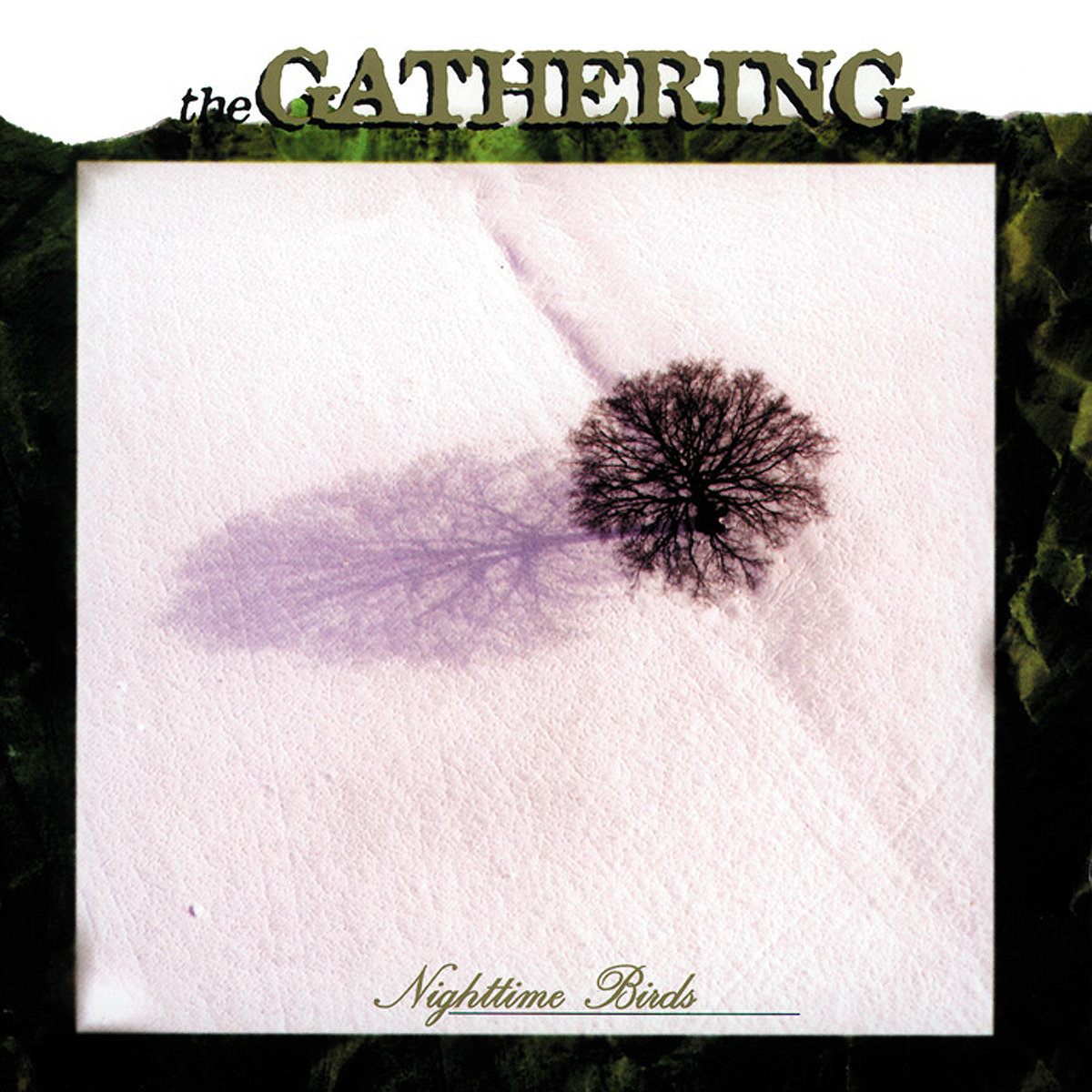 Album cover for Nighttime Birds by The Gathering
