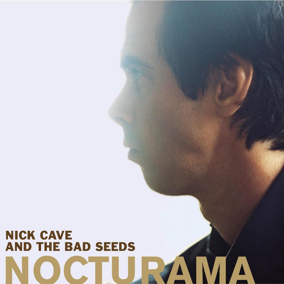 Album cover for Nocturama by Nick Cave and the Bad Seeds