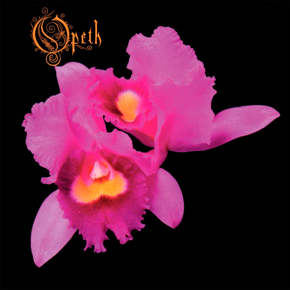 Album cover for Orchid by Opeth