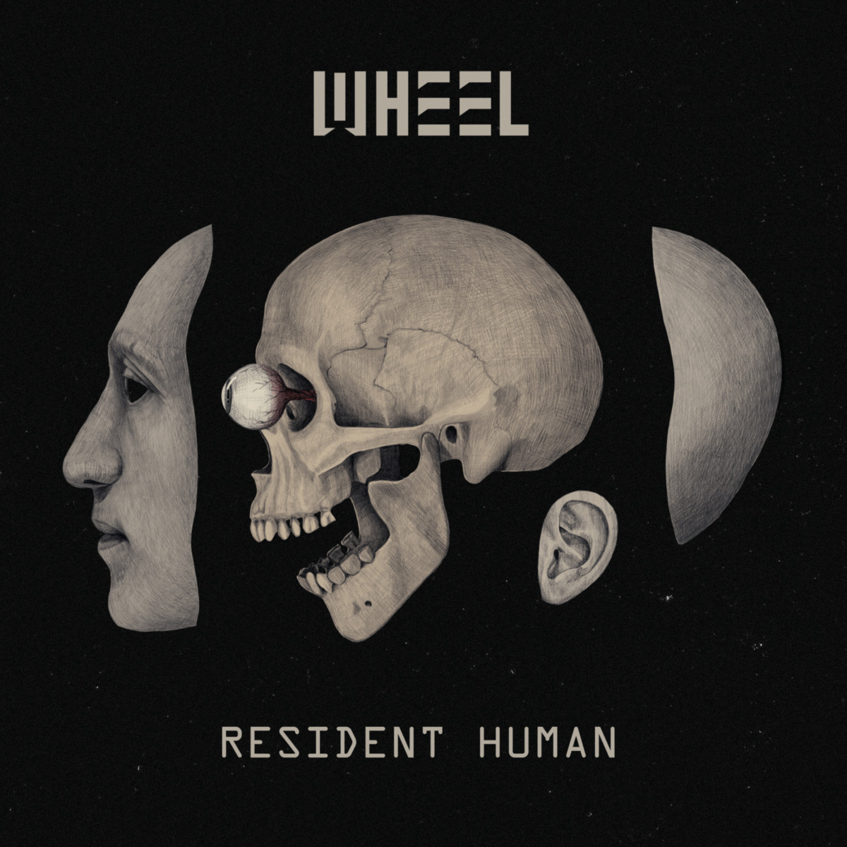 Album cover for Resident Human by Wheel