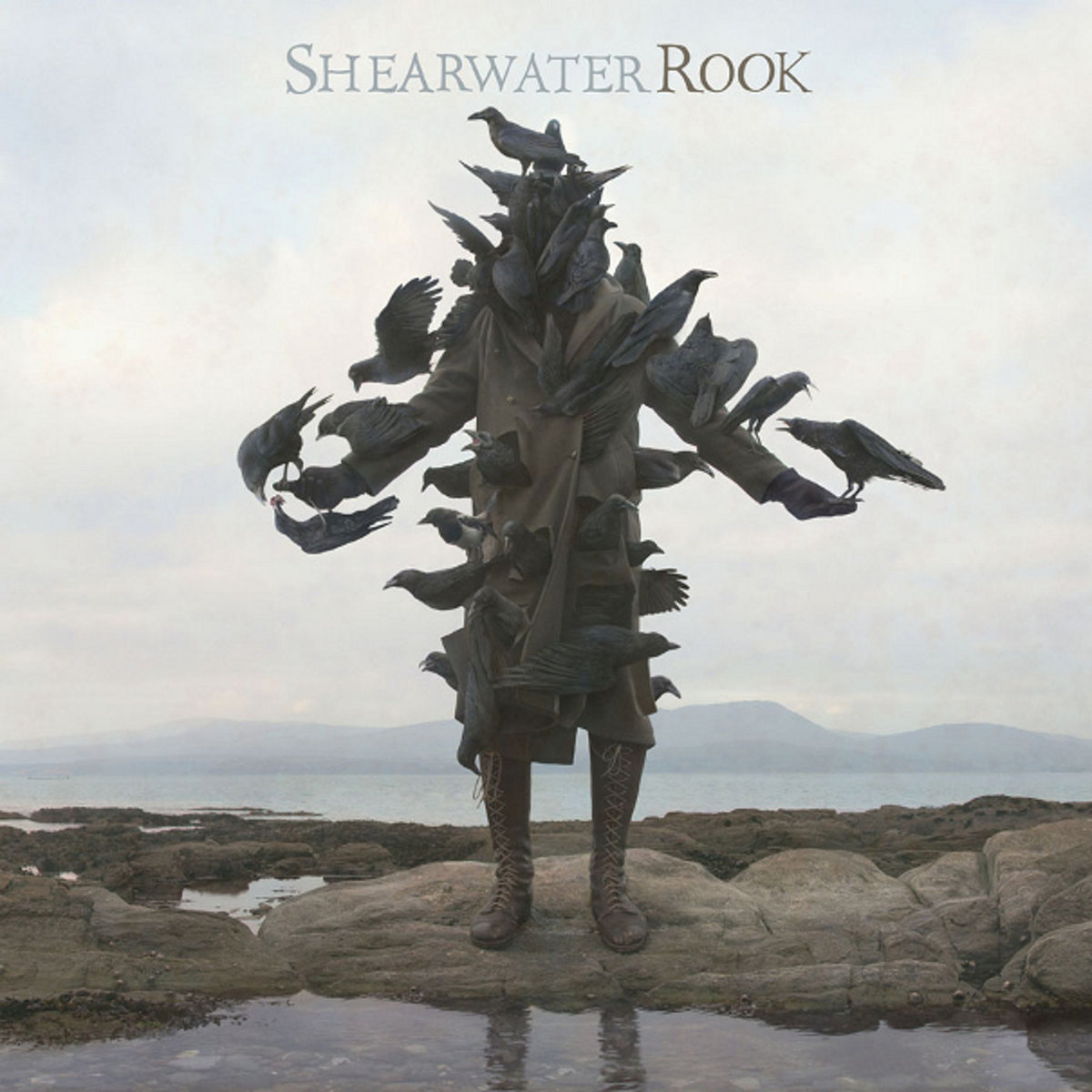 Album cover for Rook by Shearwater