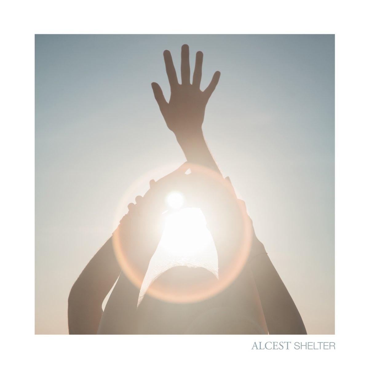 Album cover for Shelter by Alcest