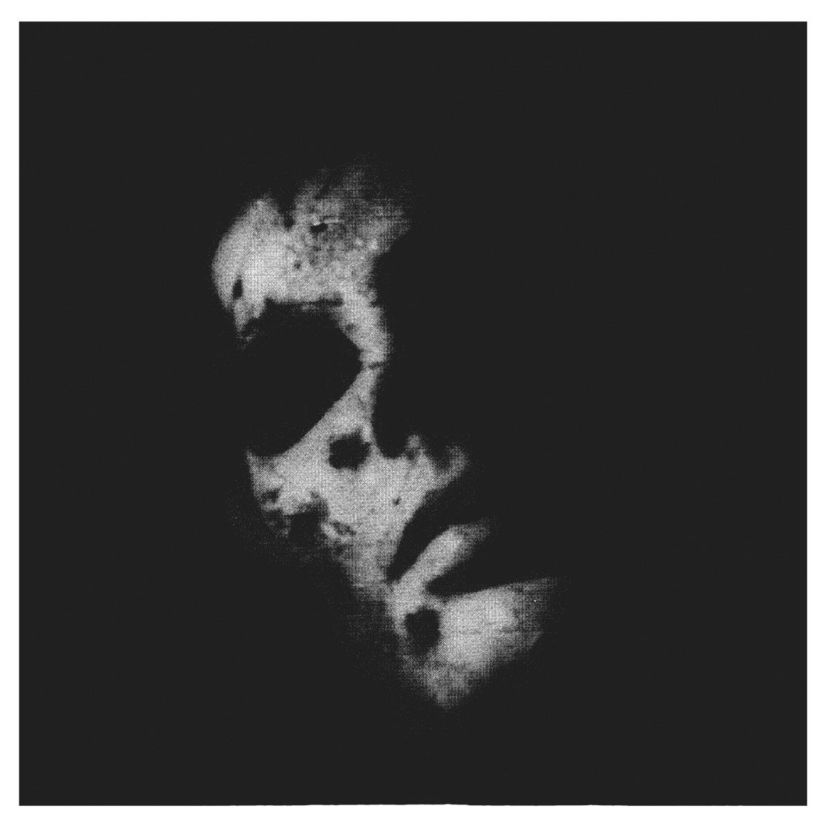 Album cover for Sister by In Solitude