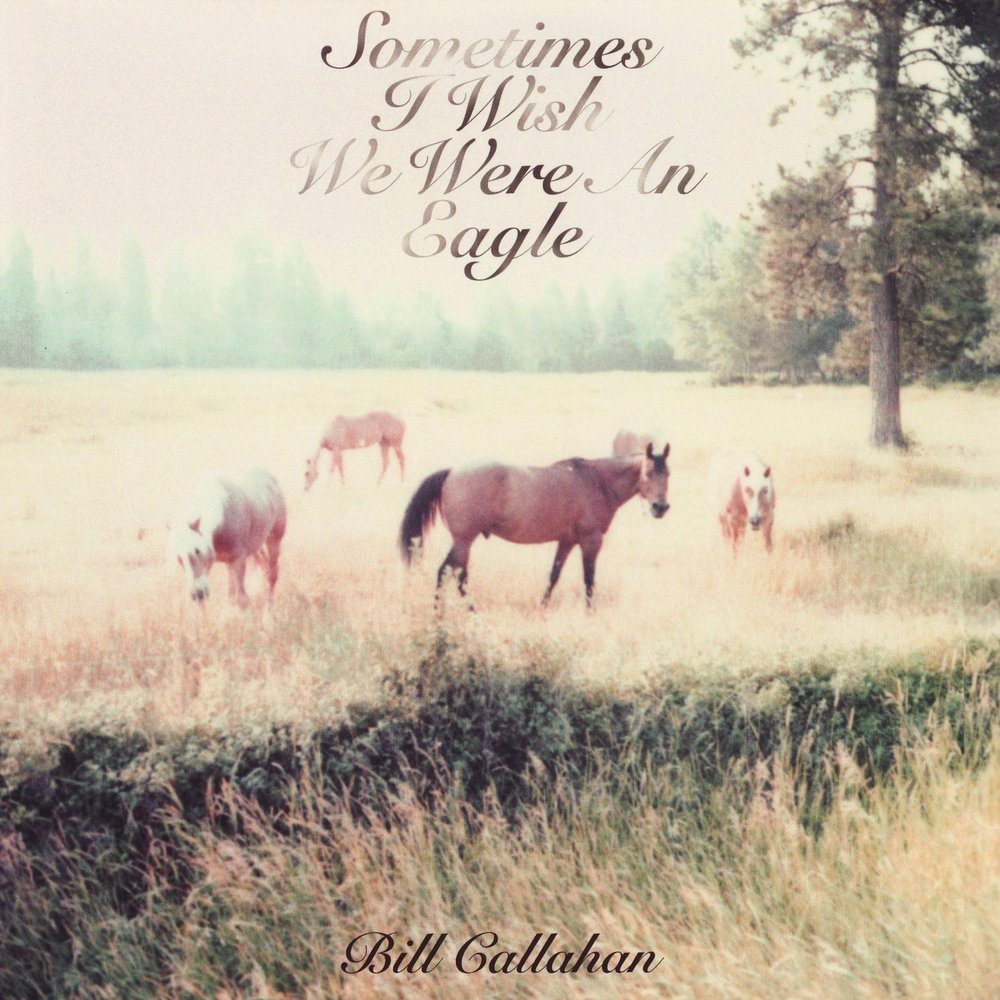 Album cover for Sometimes I Wish We Were an Eagle by Bill Callahan
