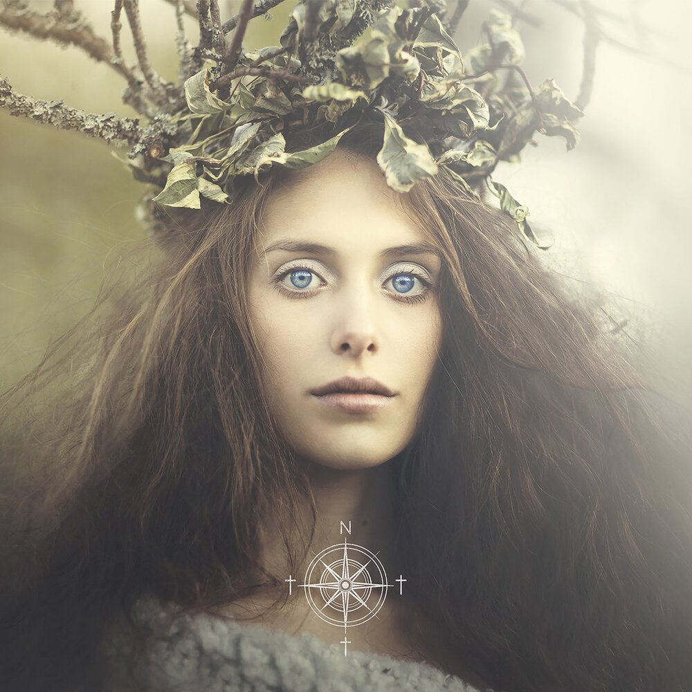 Album cover for Songs from the North I, II & III by Swallow the Sun