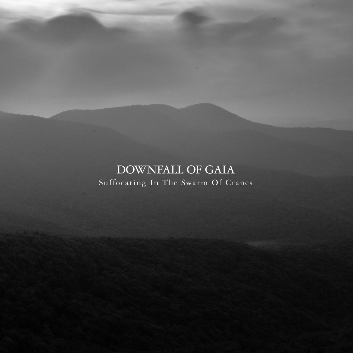 Album cover for Suffocating in the Swarm of Cranes by Downfall of Gaia