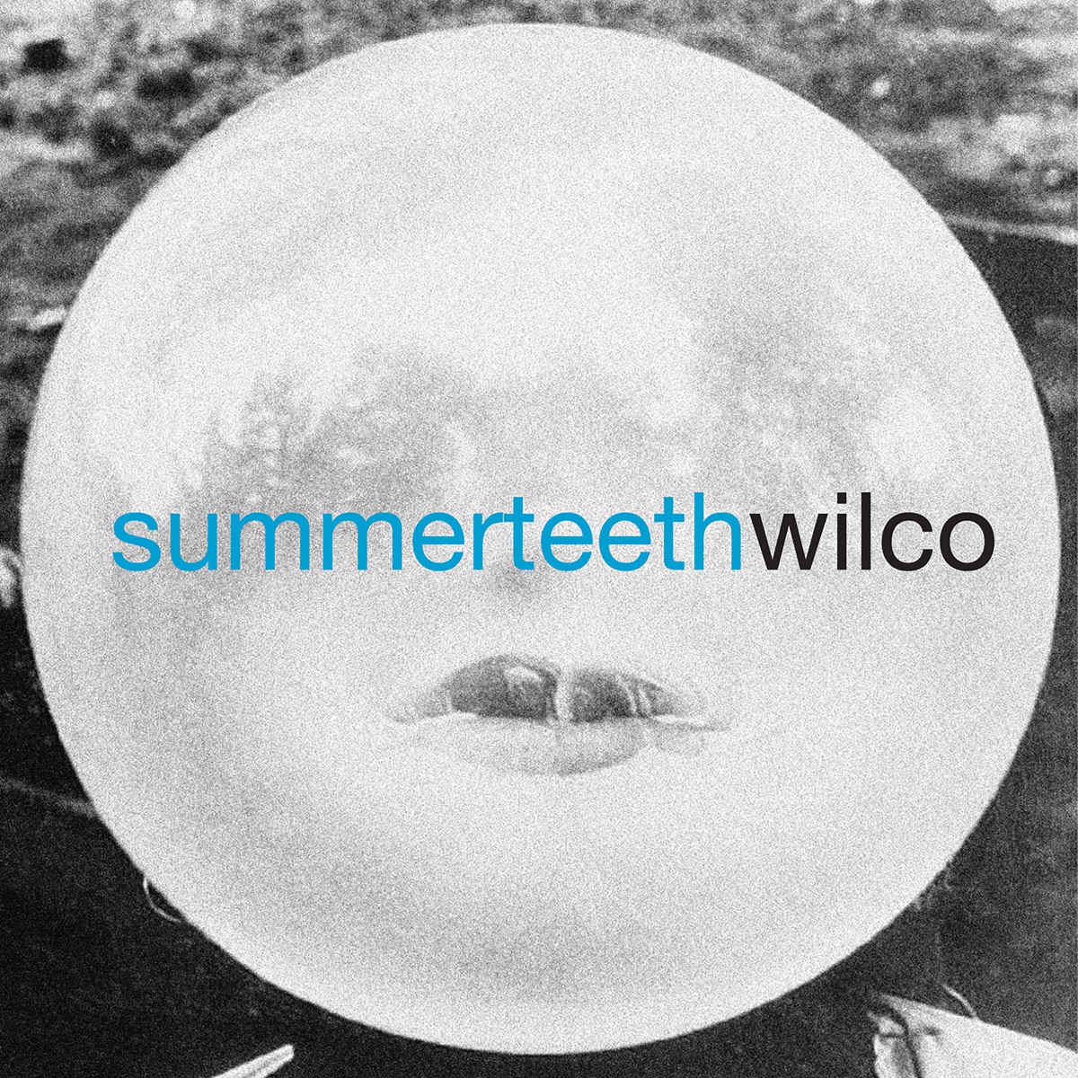 Album cover for Summerteeth by Wilco