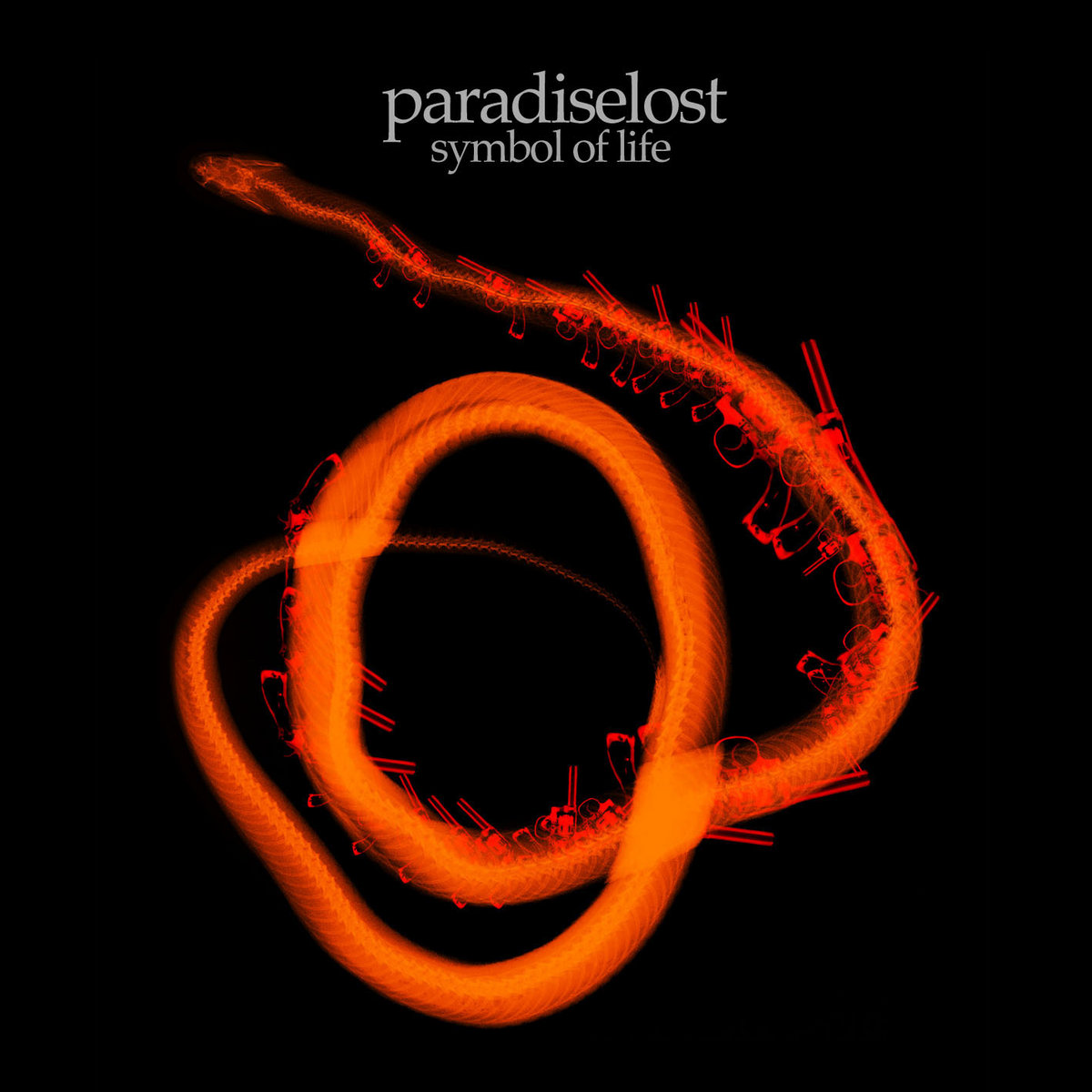 Album cover for Symbol of Life by Paradise Lost