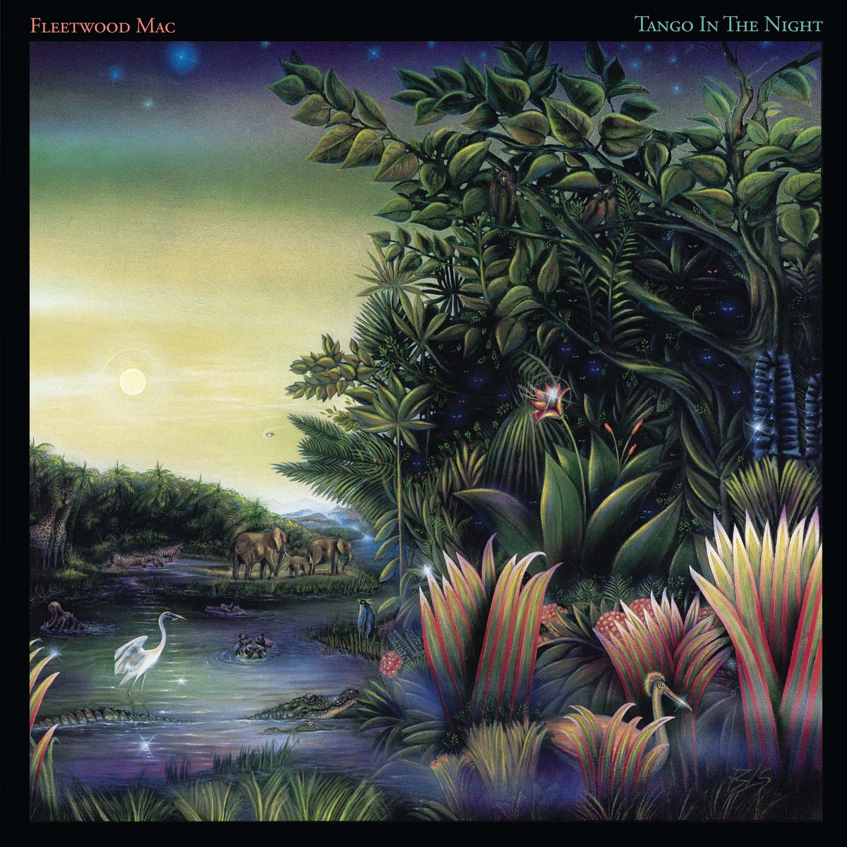 Album cover for Tango in the Night by Fleetwood Mac