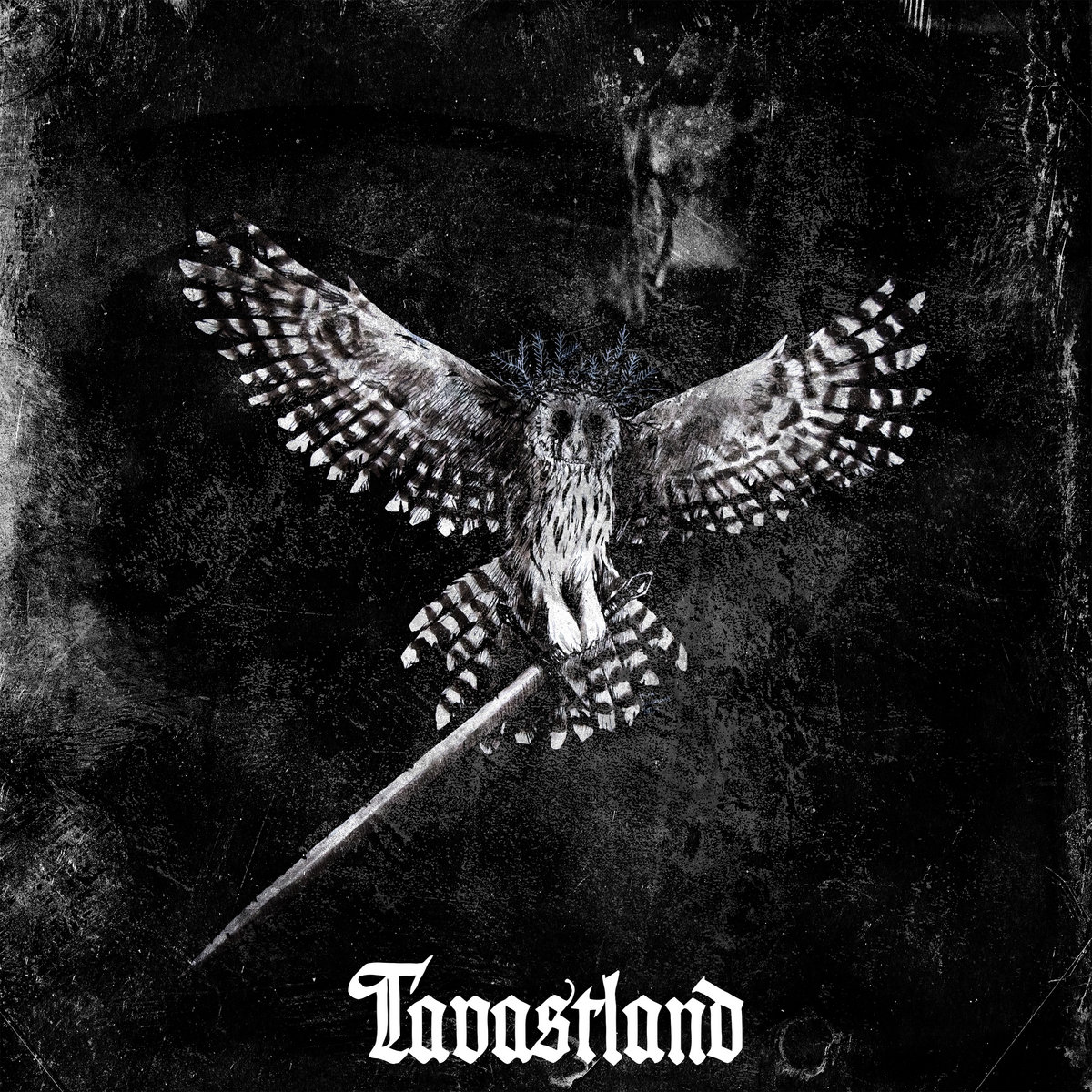 Album cover for Tavastland by Havukruunu