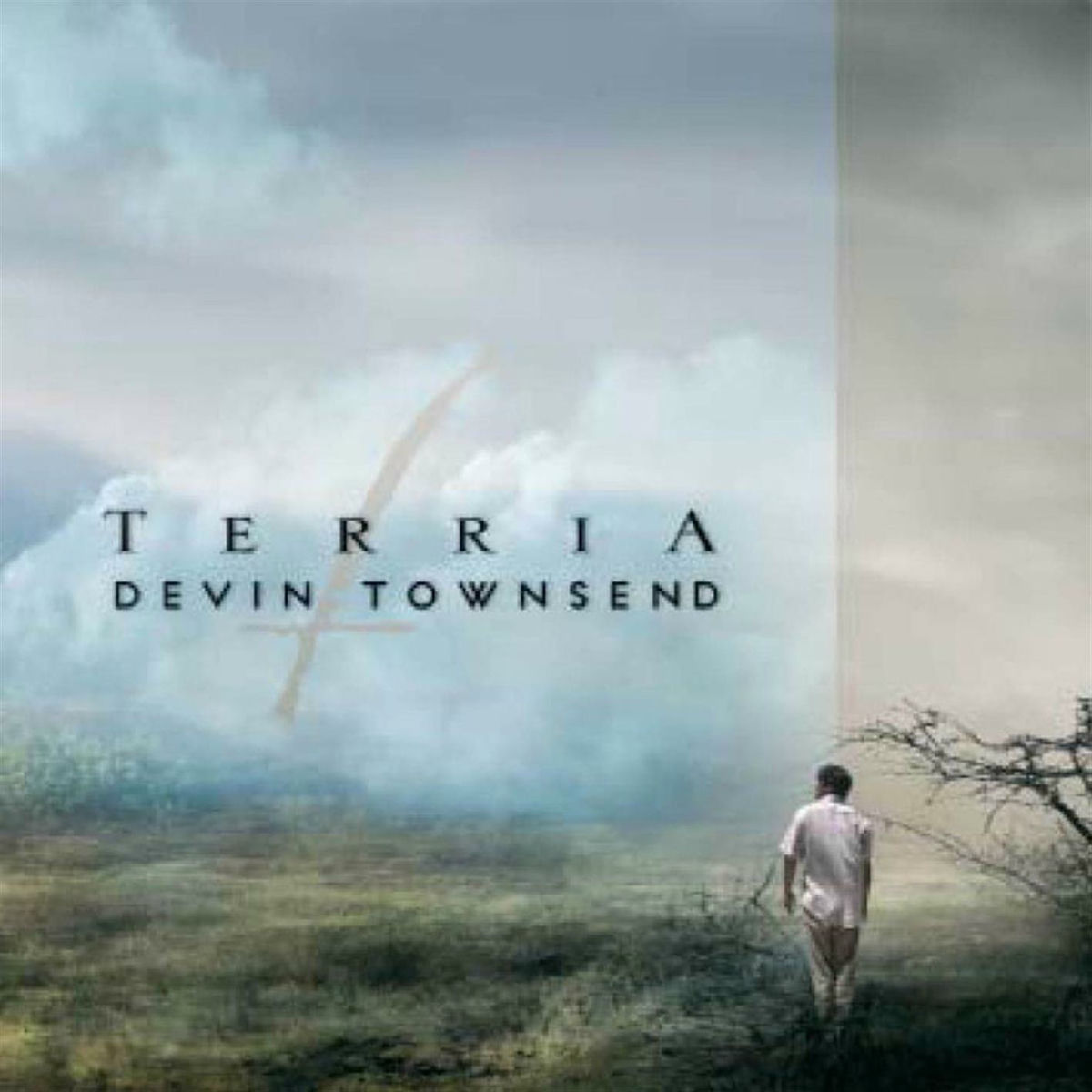 Album cover for Terria by Devin Townsend