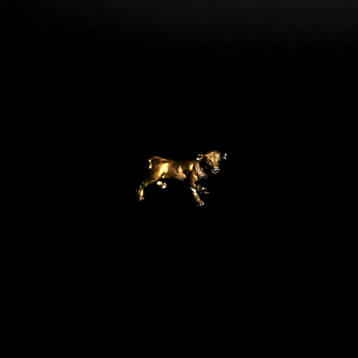 Album cover for The Dark by Delta Rae