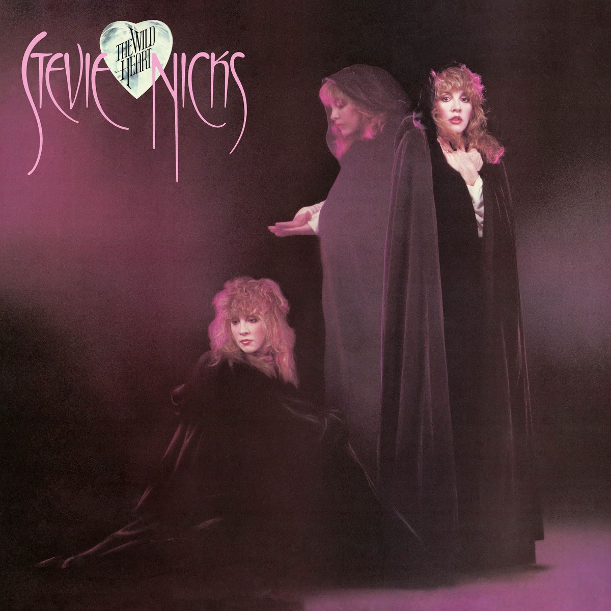 Album cover for The Wild Heart by Stevie Nicks