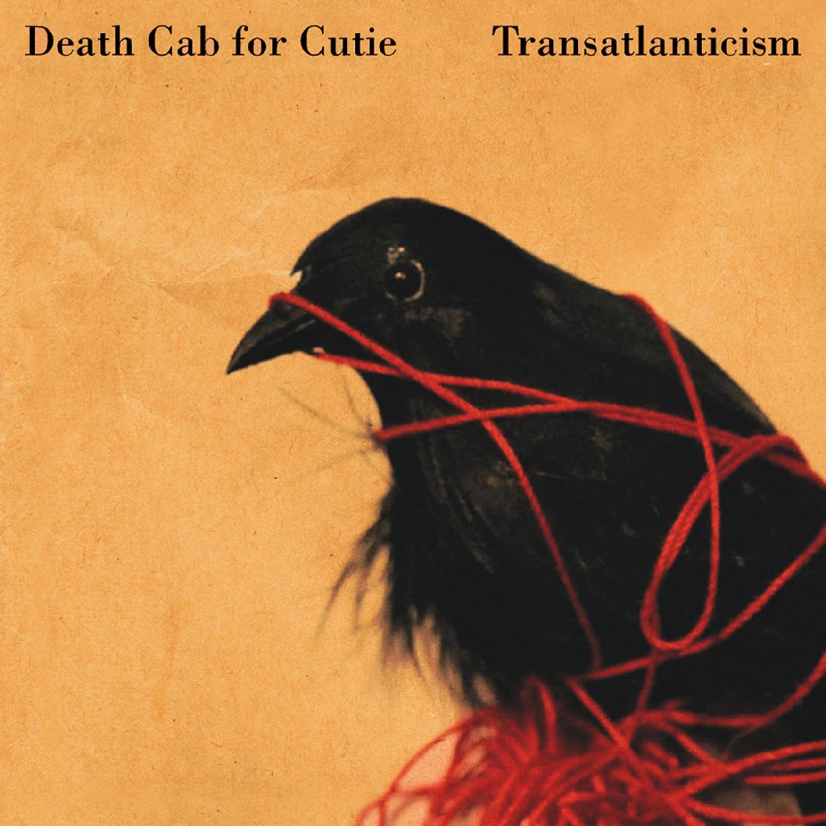 Album cover for Transatlanticism by Death Cab for Cutie