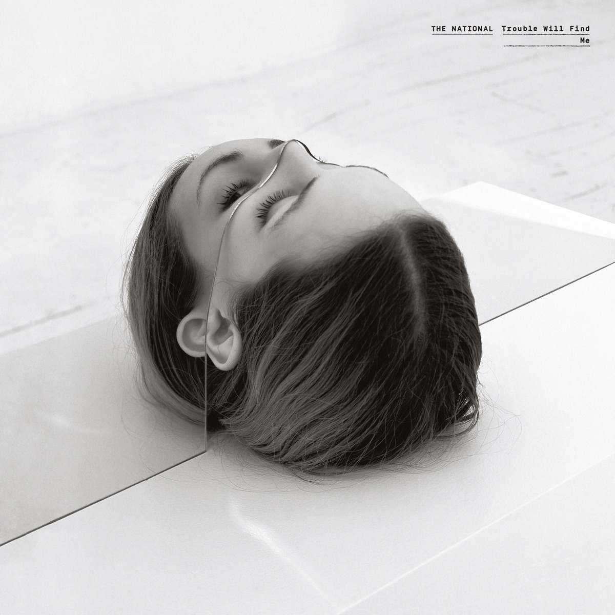 Album cover for Trouble Will Find Me by The National